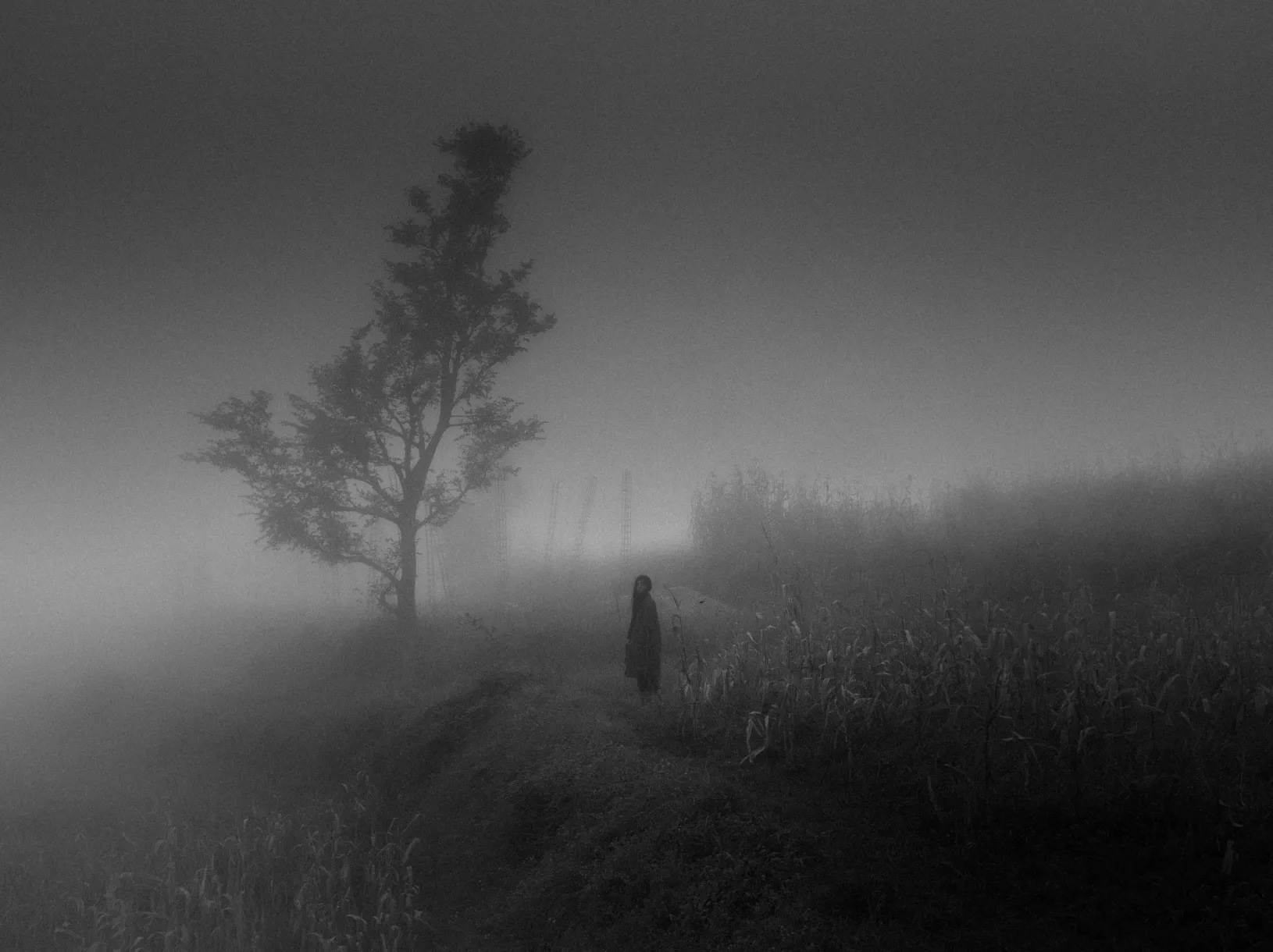 A black and white image of a person standing in a foggy field.